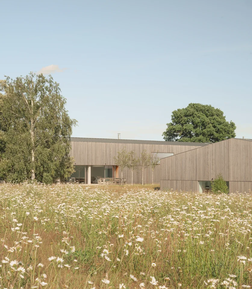 Birchwood, completed house — photograph 0301.